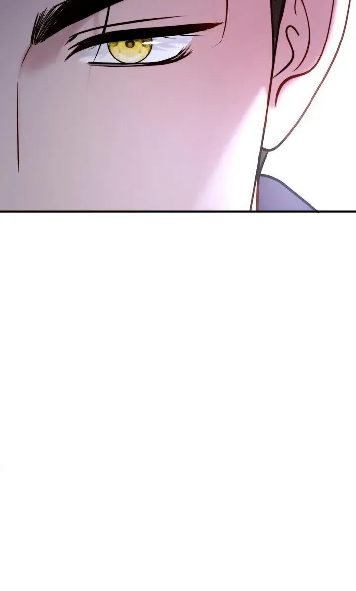 The Billionaire’s Replacement Wife Chapter 85 - Page 95